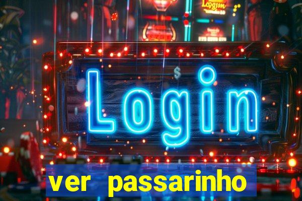 ver passarinho morto significado